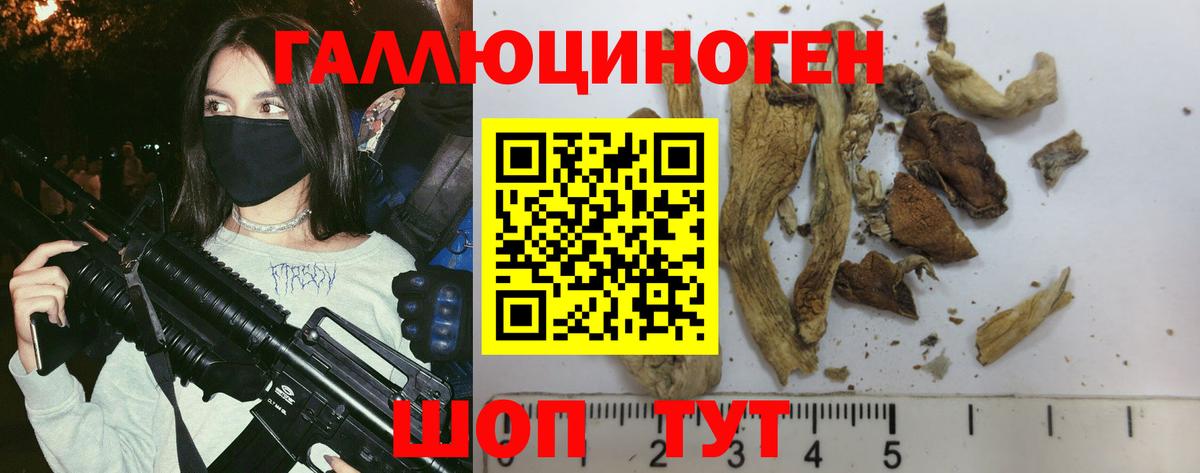 Кандалакша  Галлюциногенные грибы прущие грибы  Вход с VPN 